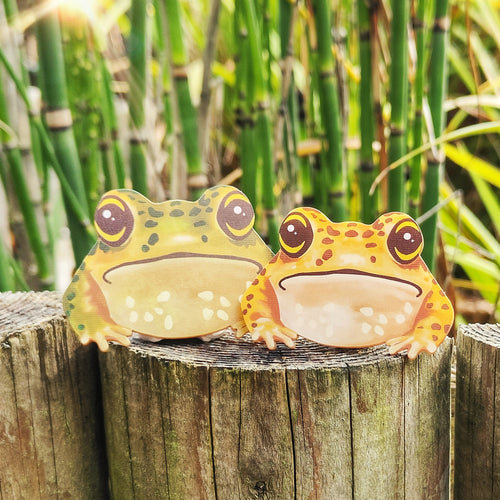 Customisable frog brooch/necklace/keyring