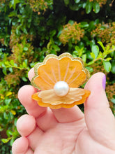 Load image into Gallery viewer, Clam Shell brooch