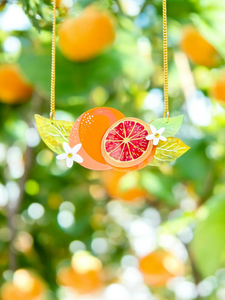Blood Orange necklace