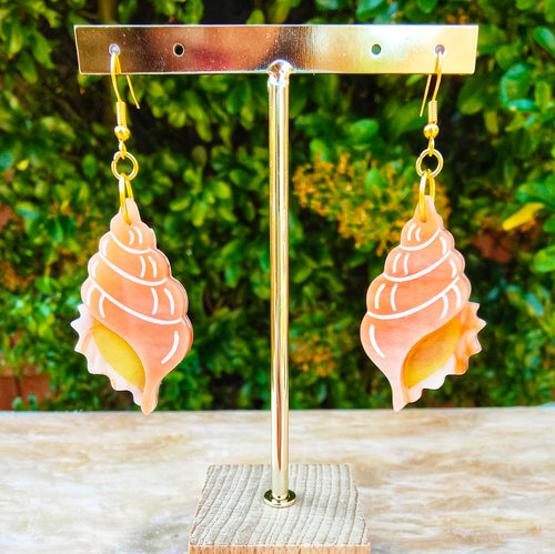Conch Shell earrings
