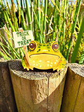 Load image into Gallery viewer, Customisable frog brooch/necklace/keyring