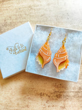 Load image into Gallery viewer, Conch Shell earrings