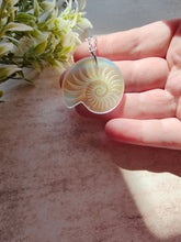 Load image into Gallery viewer, SAMPLE Iridescent shell necklace